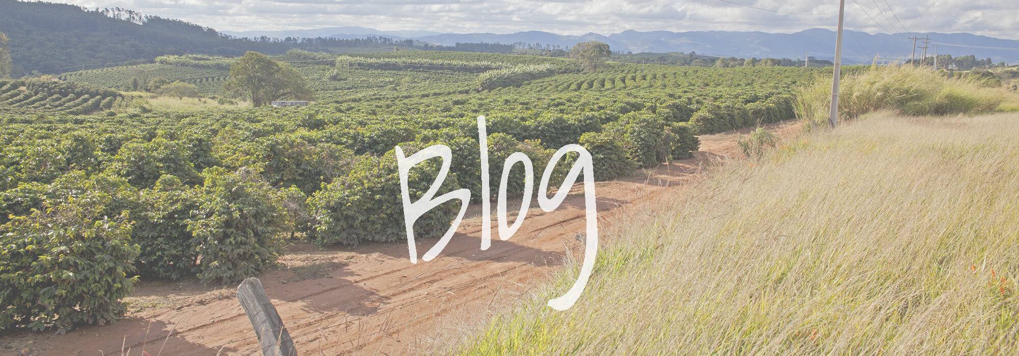 Blog