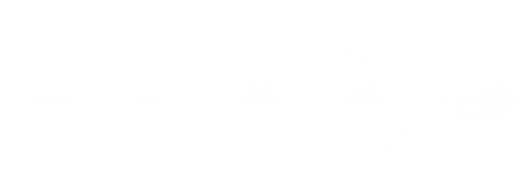 Istruzioni brewing pour-over