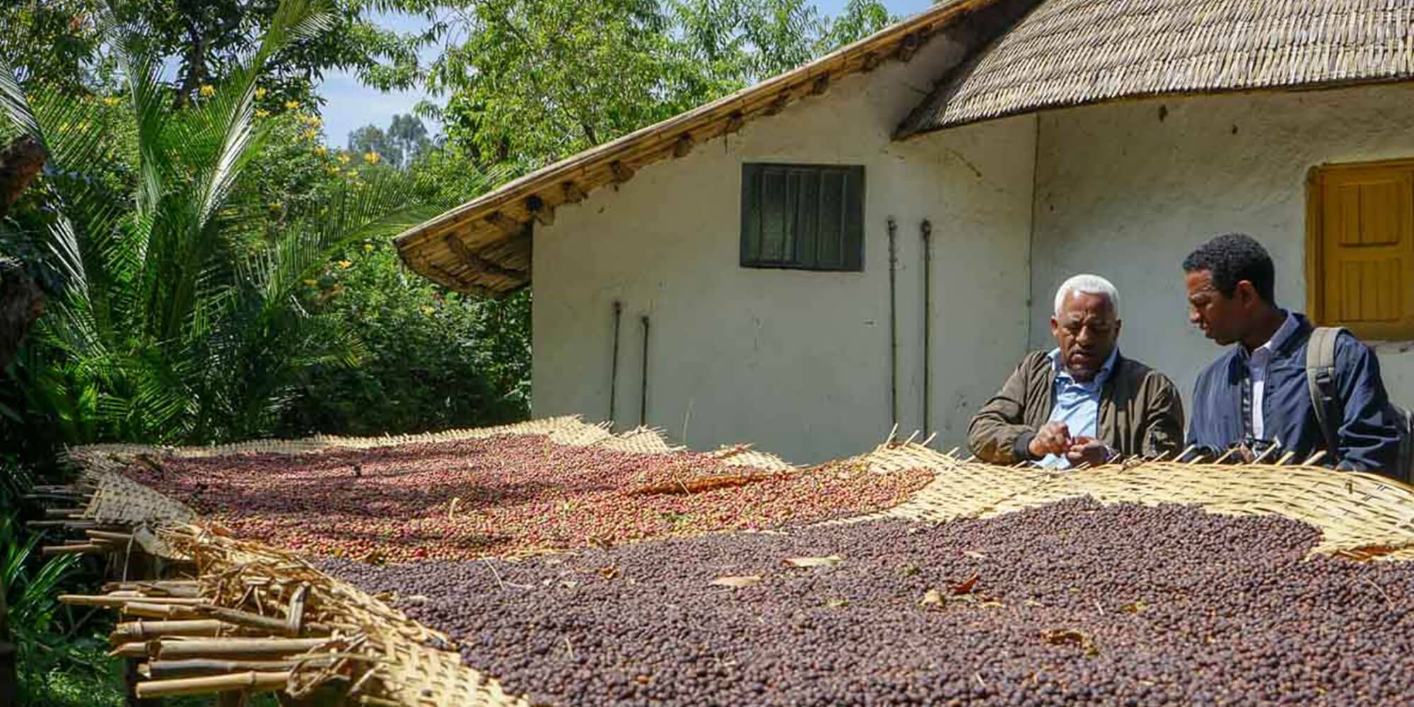 ETIOPIA Torea Village