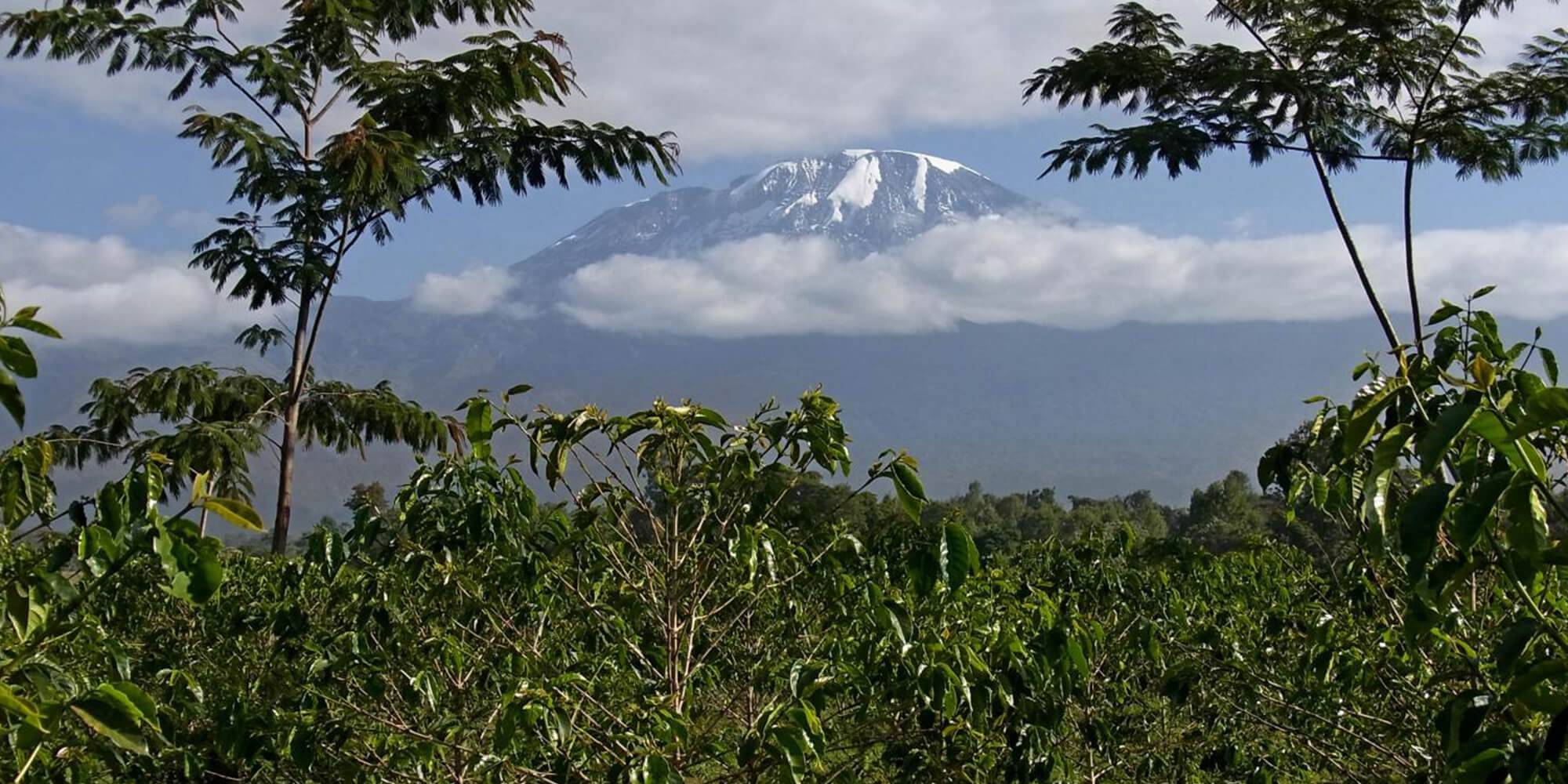 TANZANIA Kilimanjaro