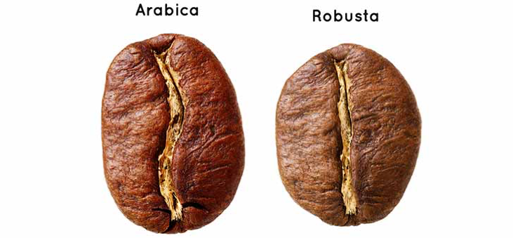 Arabica and Robusta toasted beans