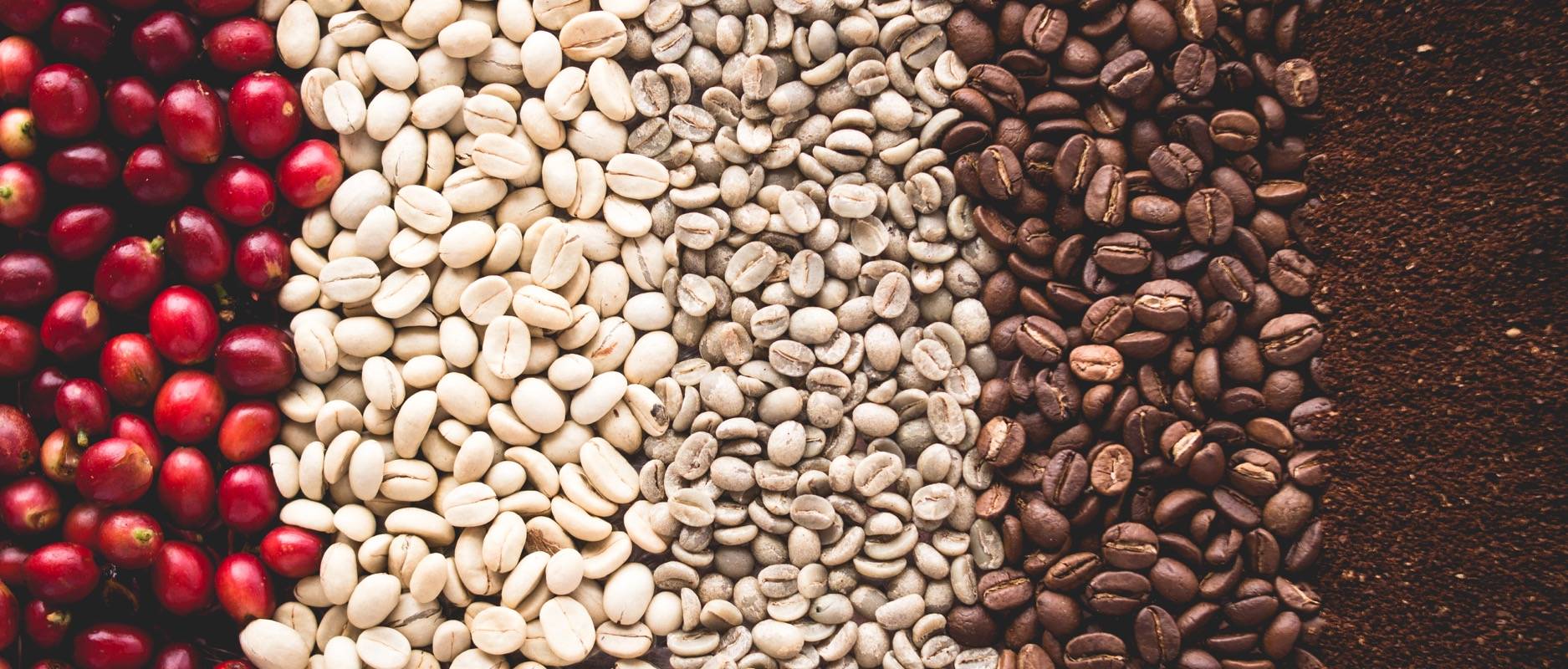 Wholesale Coffee Beans