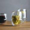 Kronos double walled glass for tea and coffee