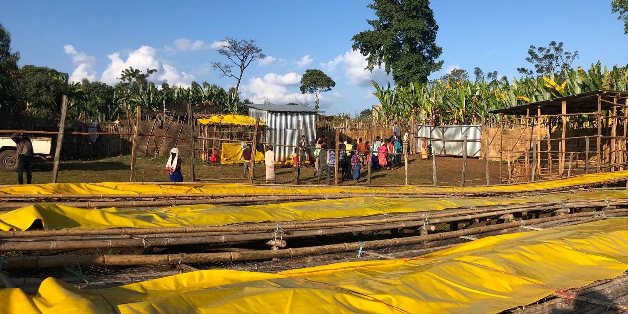 Drying stations at Goro Hambella coffee processing