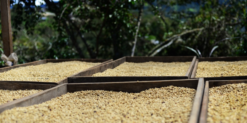 Peru La Lima Drying beds