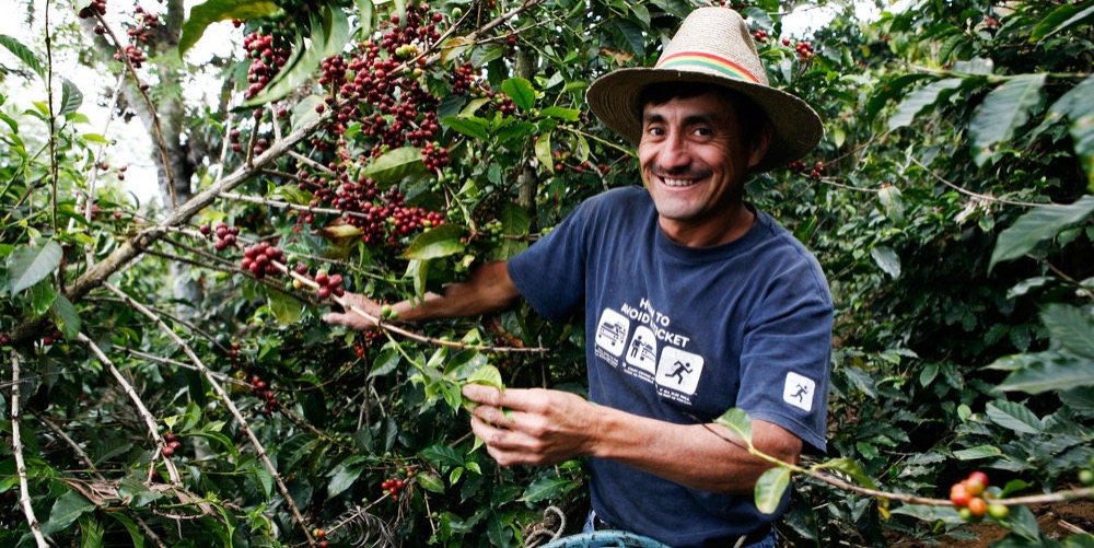 A coffee farmer from Guatemala